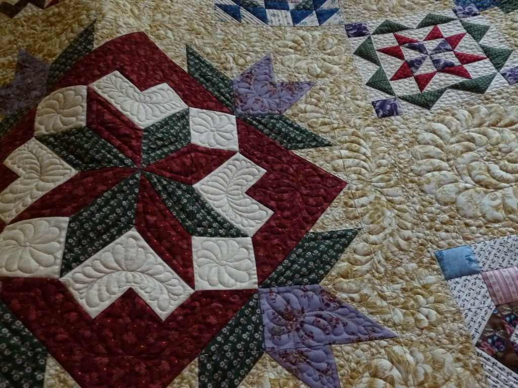 Extra Large Sampler